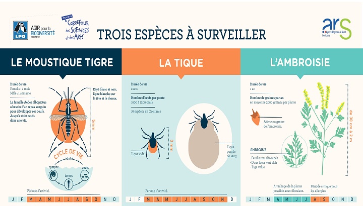 Un projet « Mous’Tique et Ambroisie »